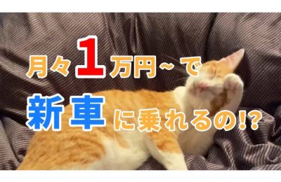 CM動画できました！だい福くん登場です♥