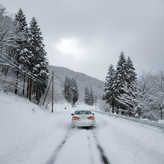雪道で動けなくなり救援を待つ車の様子
