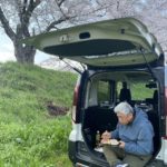 和田山花見弁当