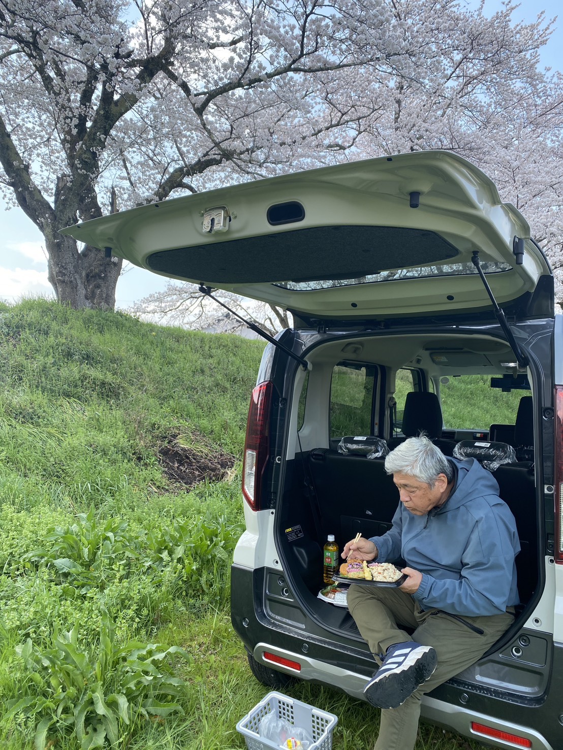 和田山花見弁当